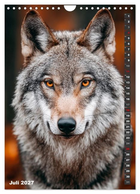 InsideView 12