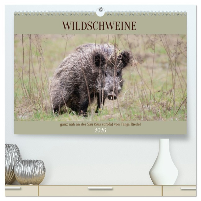 Wildschweine ganz nah an der Sau (Sus scrofa) von Tanja Riedel (hochwertiger Premium Wandkalender 2026 DIN A2 quer), Kunstdruck in Hochglanz - Tanja Riedel