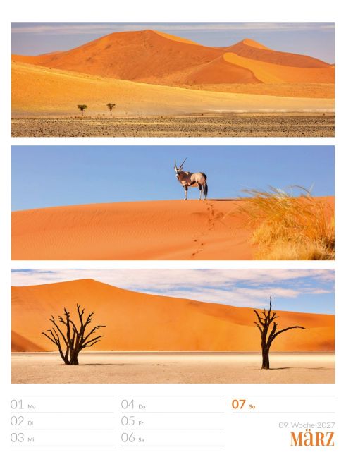 InsideView 13