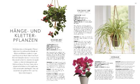 InsideView 6