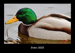 Cover-Bild zum Titel 'Enten 2025 Fotokalender DIN A3' von 'Tobias Becker'