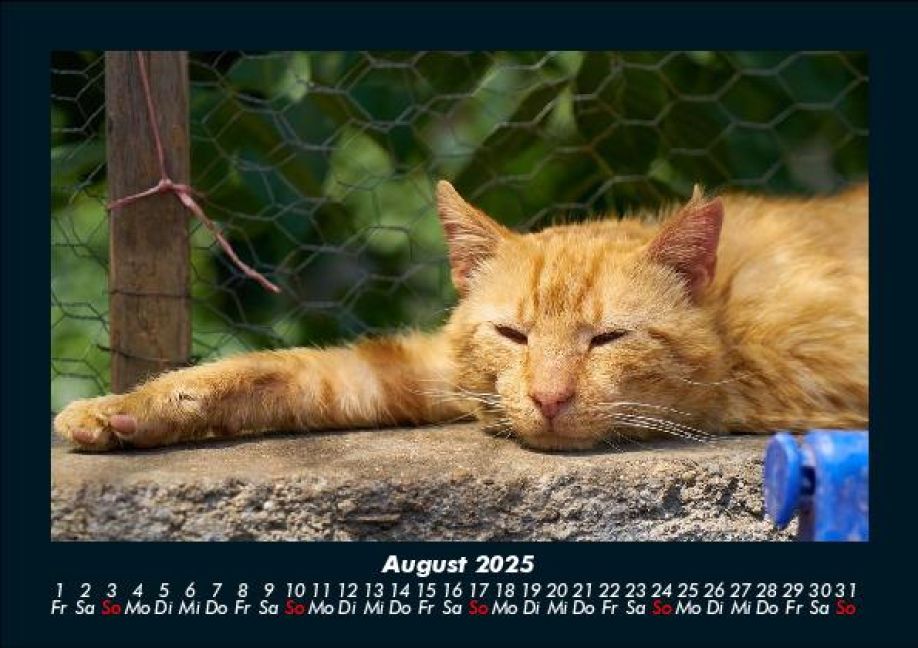 InsideView 12