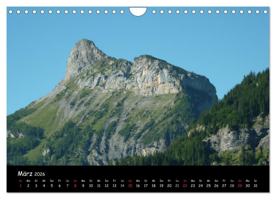 InsideView 8