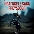 Hrafnkels saga Freysgoða - Óþekktur