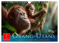 Cover-Bild zum Titel 'Orang Utans - Leben in den Baumkronen (Wandkalender 2026 DIN A4 quer), CALVENDO Monatskalender' von 'Meike und Peter Roder'