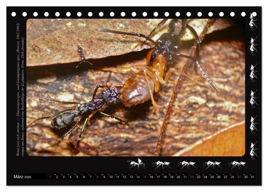 InsideView 8