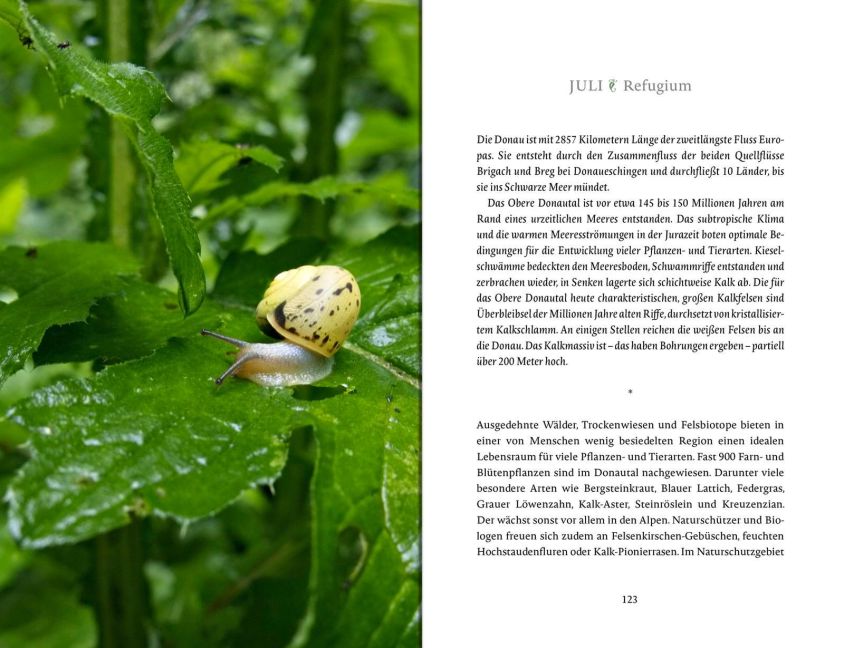 InsideView 14