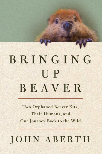 Bringing Up Beaver - John Aberth
