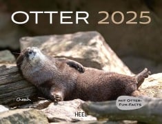 Otter Kalender 2025 Wandkalender - 