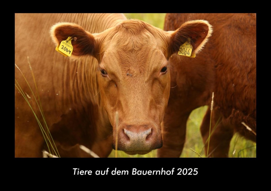 Tiere auf dem Bauernhof 2025 Fotokalender DIN A3 - Tobias Becker