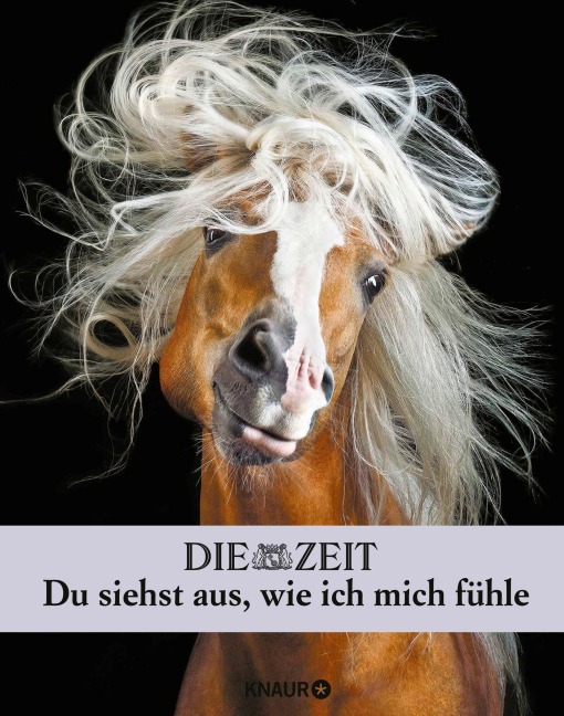 Die Zeit. Du siehst aus, wie ich mich fühle - 
