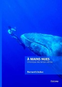 Cover-Bild zum Titel 'À mains nues' von 'Bernard Lhubac'