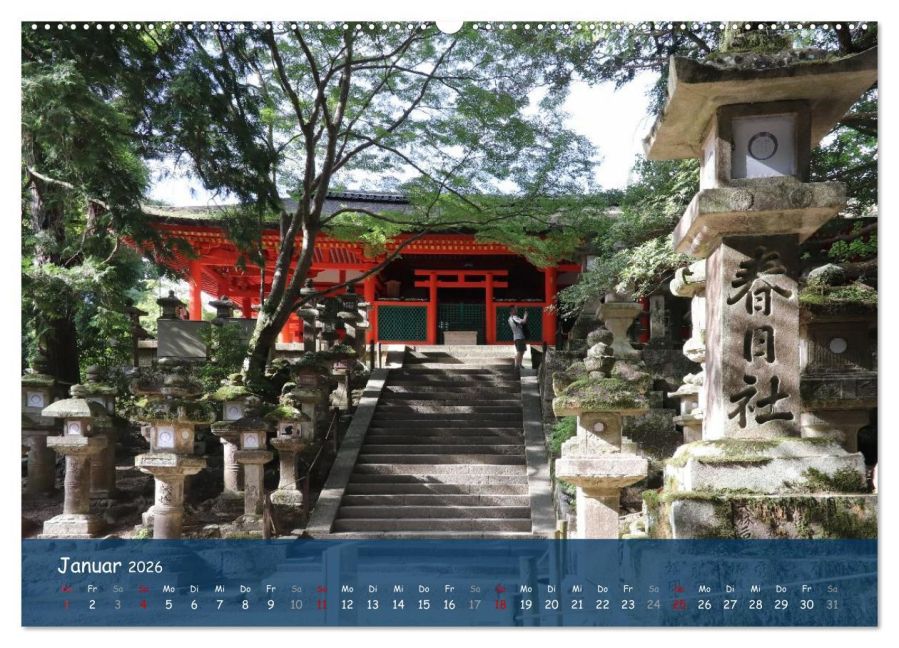 InsideView 5