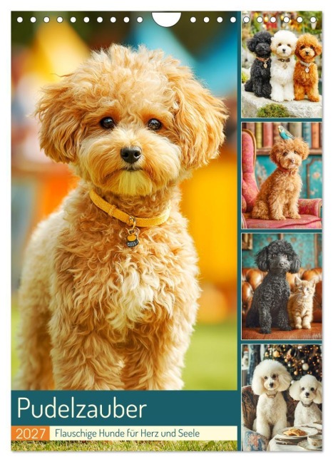 Pudelzauber. Flauschige Hunde für Herz und Seele (Wandkalender 2027 DIN A4 hoch), CALVENDO Monatskalender - Rose Hurley