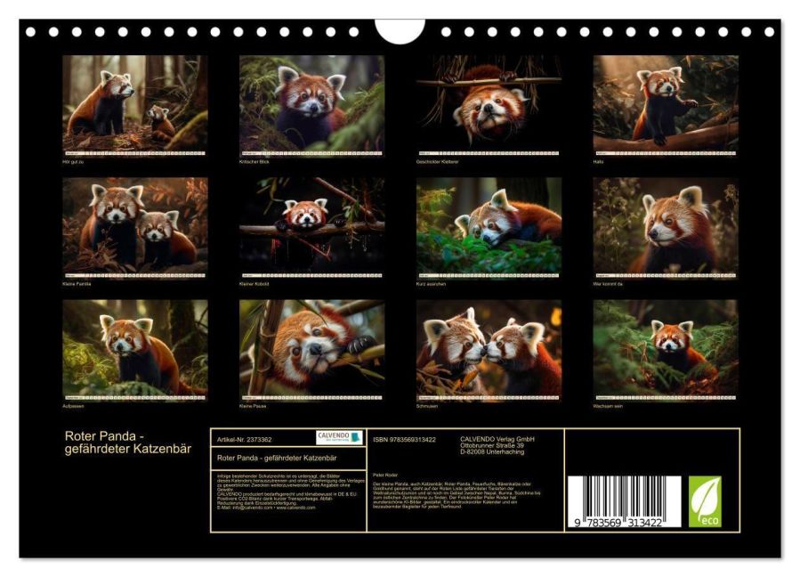 InsideView 5