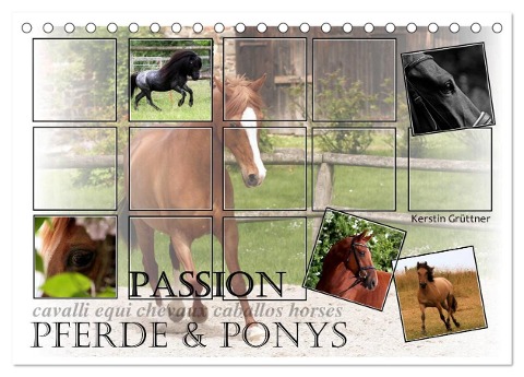 Passion - Pferde und Ponys (Tischkalender 2024 DIN A5 quer), CALVENDO Monatskalender - Kerstin Grüttner