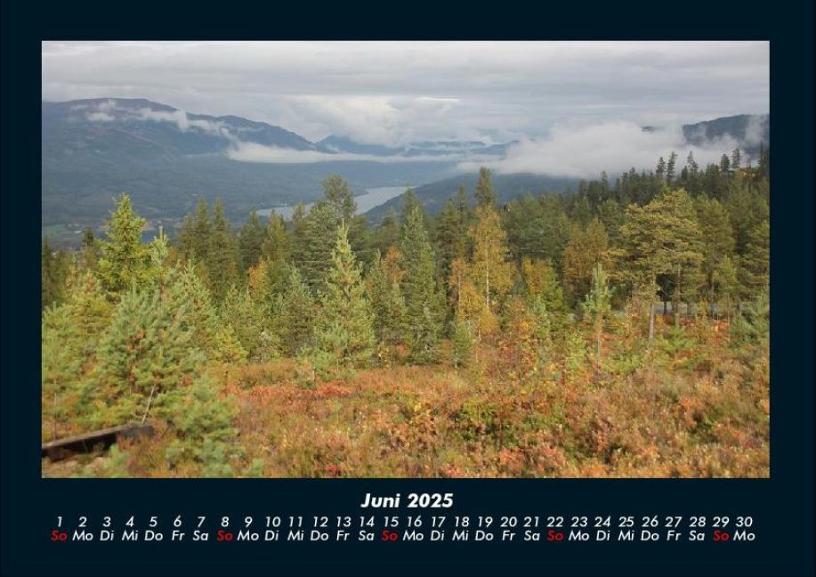 InsideView 10