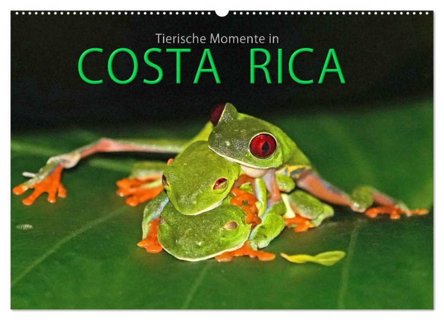 COSTA RICA - Tierische Momente (Wandkalender 2025 DIN A2 quer), CALVENDO Monatskalender - Michael Matziol