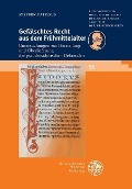 Cover-Bild zum Titel 'Gefälschtes Recht aus dem Frühmittelalter' von 'Steffen Patzold'