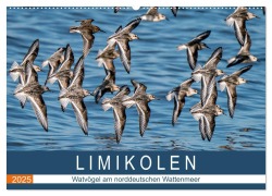 Limikolen - Watvögel am norddeutschen Wattenmeer (Wandkalender 2025 DIN A2 quer), CALVENDO Monatskalender - Arne Wünsche