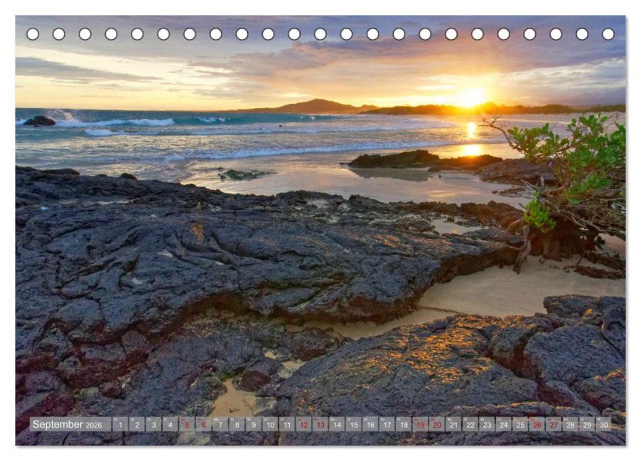 InsideView 14