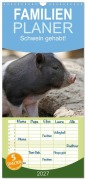 Cover-Bild zum Titel 'Familienplaner 2027 - Schwein gehabt! mit 5 Spalten (Wandkalender, 21 x 45 cm) CALVENDO' von 'Antje Lindert-Rottke'