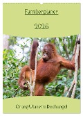 Familienplaner 2025 - Orang Utans im Dschungel (Wandkalender 2025 DIN A2 hoch), CALVENDO Monatskalender - Daniel Heiss Photography