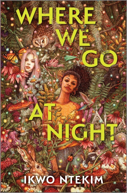 Where We Go at Night - Ikwo Ntekim