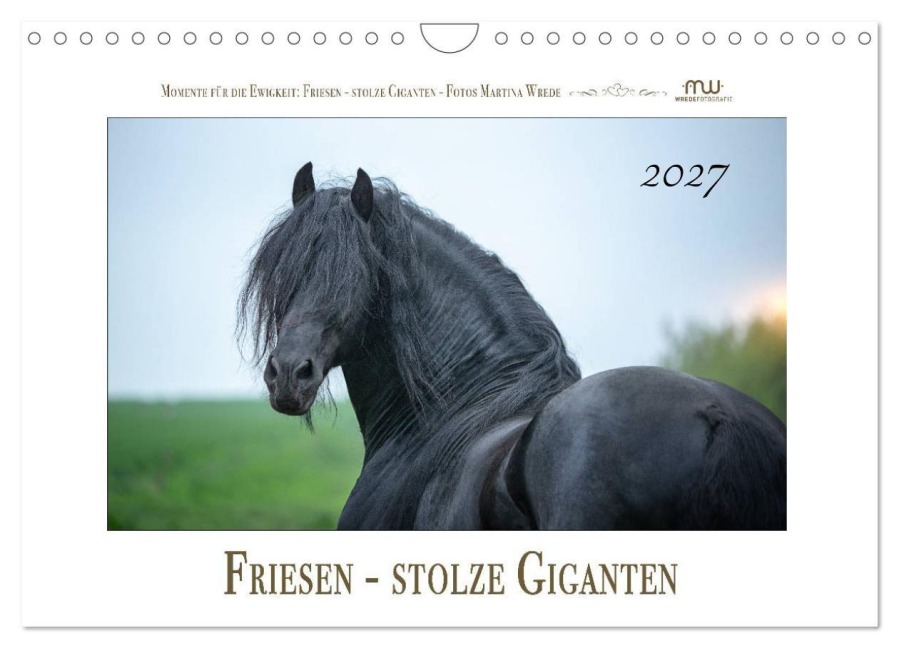 Friesen - stolze Giganten (Wandkalender 2027 DIN A4 quer), CALVENDO Monatskalender - Martina Wrede