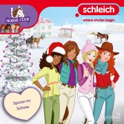 Cover-Bild zum Titel 'Folge 22: Spuren im Schnee' von 'Anna Lott'