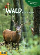Cover-Bild zum Titel 'Im Wald geht's rund - mit großem, farbigem Poster' von ''