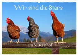 Wir sind die Stars am Bauernhof (Wandkalender 2026 DIN A2 quer), CALVENDO Monatskalender - Christa Kramer