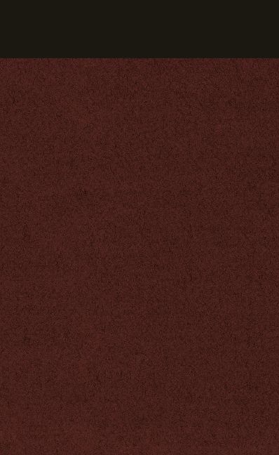 InsideView 1