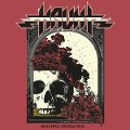 Cover-Bild zum Titel 'Beautiful Distraction' von 'Haunt'