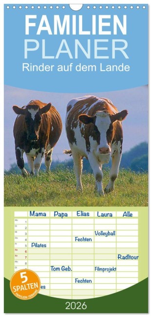 Familienplaner 2026 - Rinder auf dem Lande mit 5 Spalten (Wandkalender, 21 x 45 cm) CALVENDO - Bildagentur Geduldig
