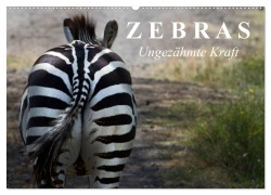 Cover-Bild zum Titel 'Zebras - Ungezähmte Kraft (Wandkalender 2026 DIN A2 quer), CALVENDO Monatskalender' von 'Elisabeth Stanzer'