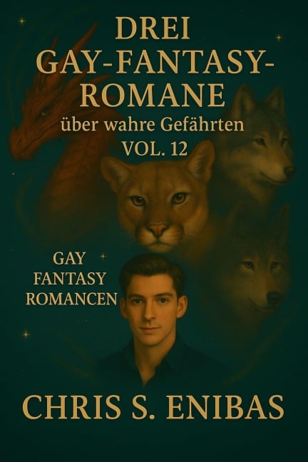 Drei Gay Fantasy Romane über wahre Gefährten Vol. 12 - Chris S. Enibas