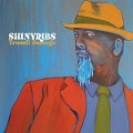 Transit Damage - Shinyribs
