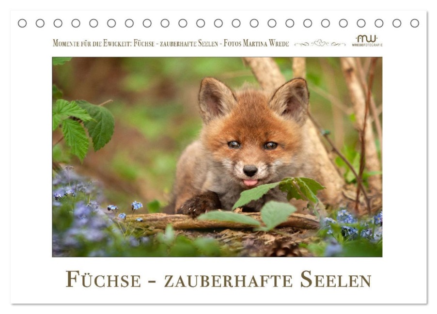 Füchse - zauberhafte Seelen (Tischkalender 2026 DIN A5 quer), CALVENDO Monatskalender - Martina Wrede - Wredefotografie