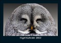 Vogel Kalender 2023 Fotokalender DIN A5 - Tobias Becker