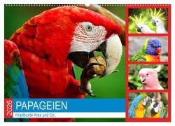 Cover-Bild zum Titel 'Papageien. Knallbunte Aras und Co. (Wandkalender 2026 DIN A2 quer), CALVENDO Monatskalender' von 'Rose Hurley'