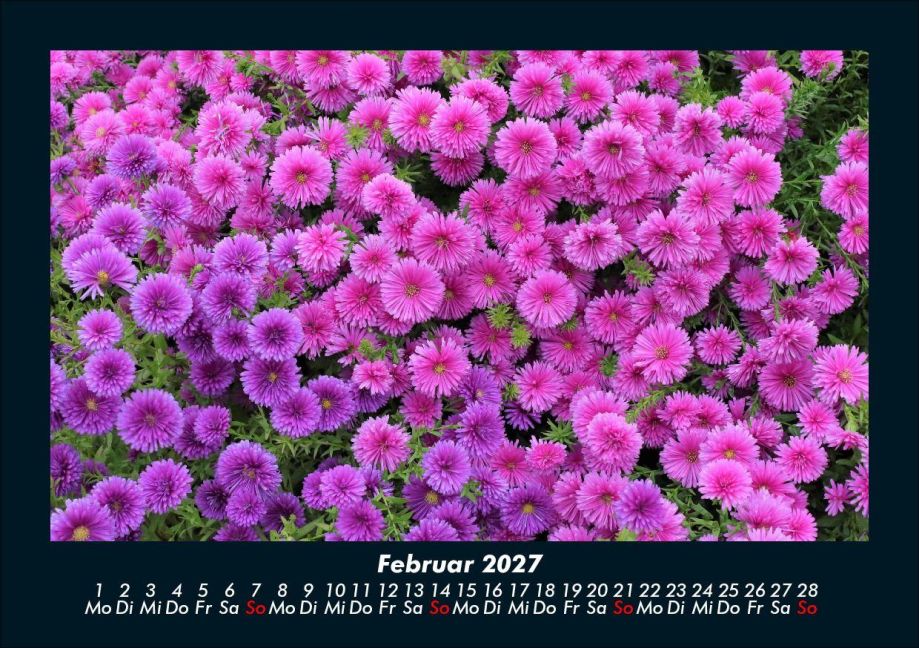 InsideView 6