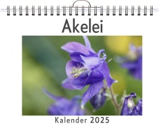 Cover-Bild zum Titel 'Akelei' von 'Ella Münch'