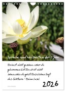Cover-Bild zum Titel 'Sprüche und Weisheiten für¿ s Jahr (Wandkalender 2026 DIN A4 hoch), CALVENDO Monatskalender' von 'Lydia Weih'