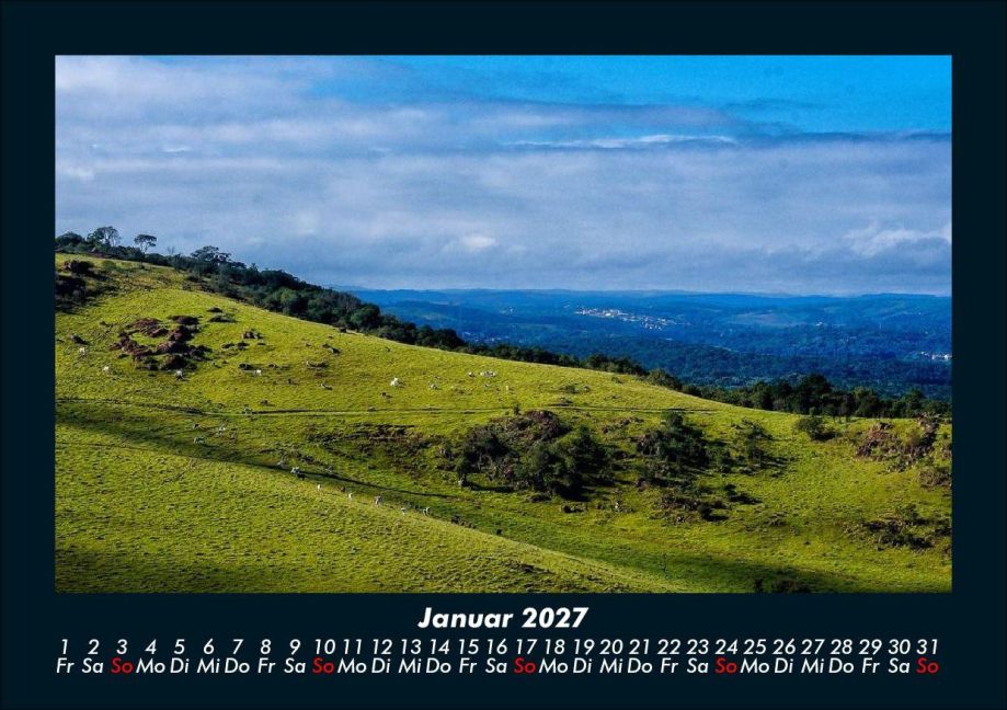 InsideView 5