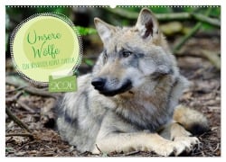Cover-Bild zum Titel 'Unsere Wölfe - Ein Wildtier kehrt zurück (Wandkalender 2026 DIN A2 quer), CALVENDO Monatskalender' von 'Angela Rohde'