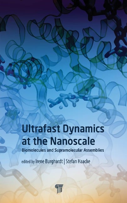Ultrafast Dynamics at the Nanoscale - 