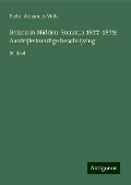 Reizen in Midden-Sumatra 1877-1879: Aardrijkskundige beschrijving - Pieter Johannes Veth