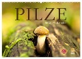 Pilze - fleißige Waldarbeiter (Wandkalender 2024 DIN A2 quer), CALVENDO Monatskalender - Markus Wuchenauer - Pixelrohkost
