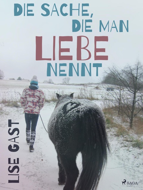 Die Sache, die man Liebe nennt - Lise Gast